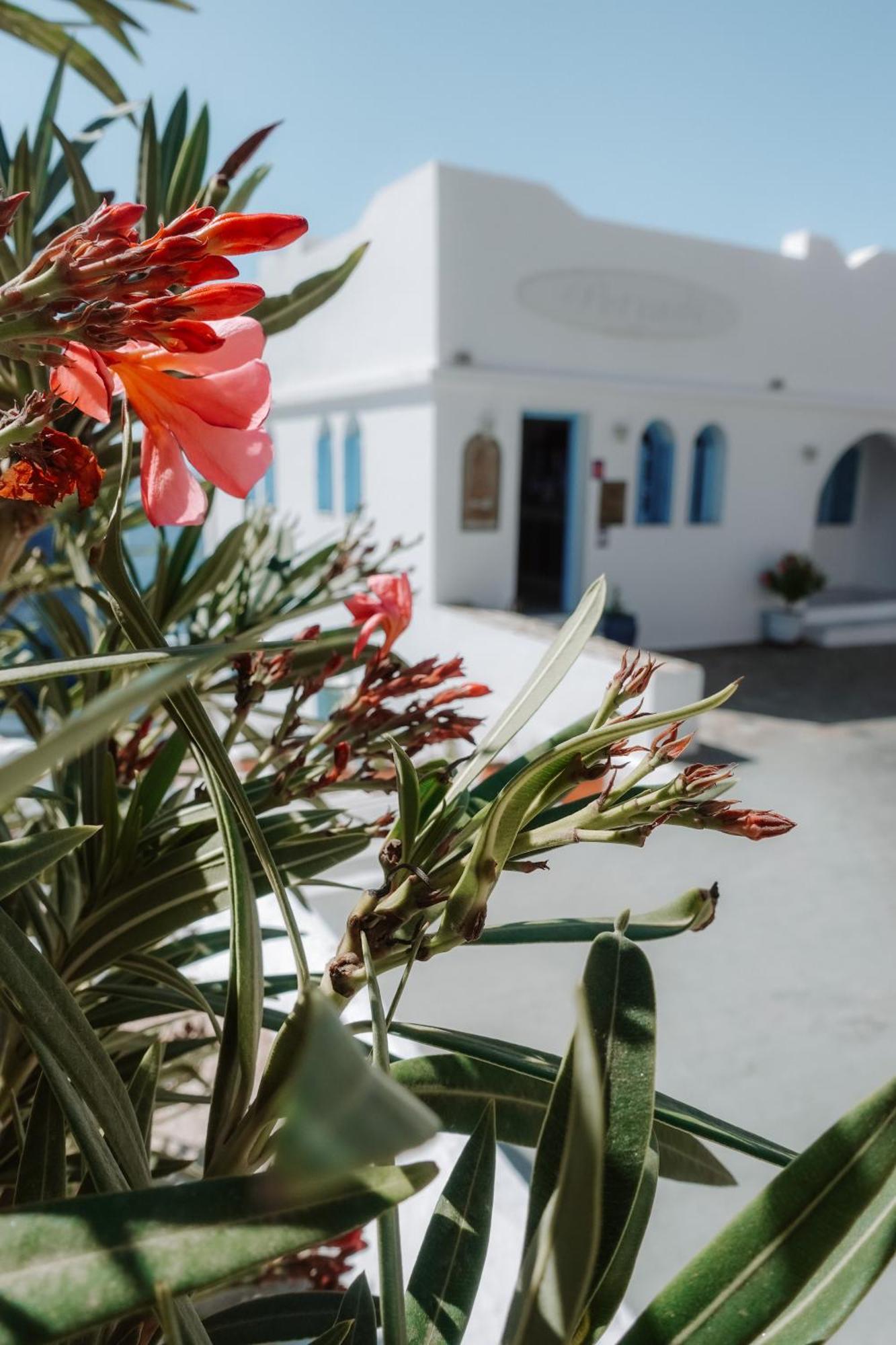 Hotel Petradi Chora  Exterior photo